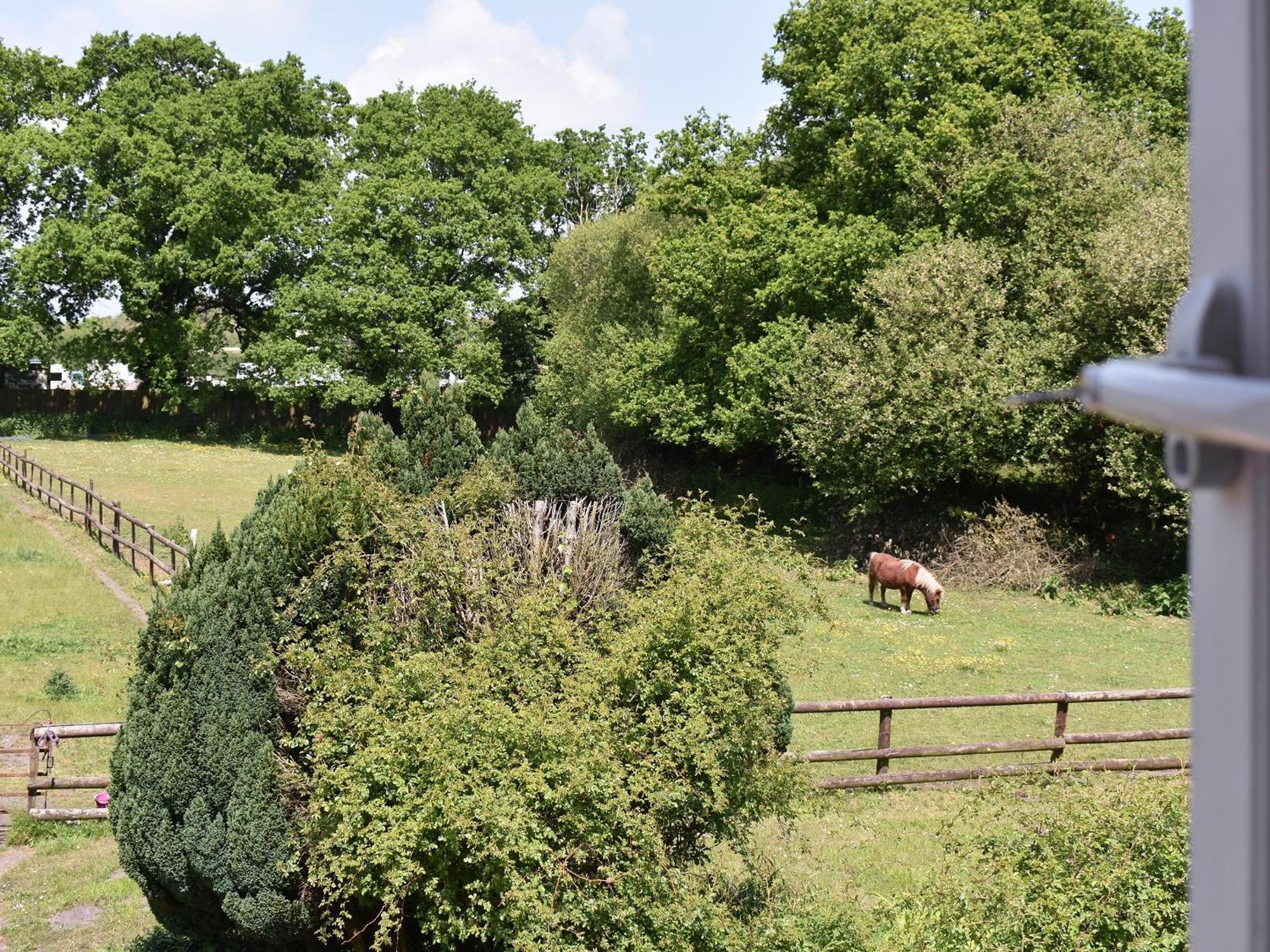 Oakdene Lodge Saint Leonards Exterior foto